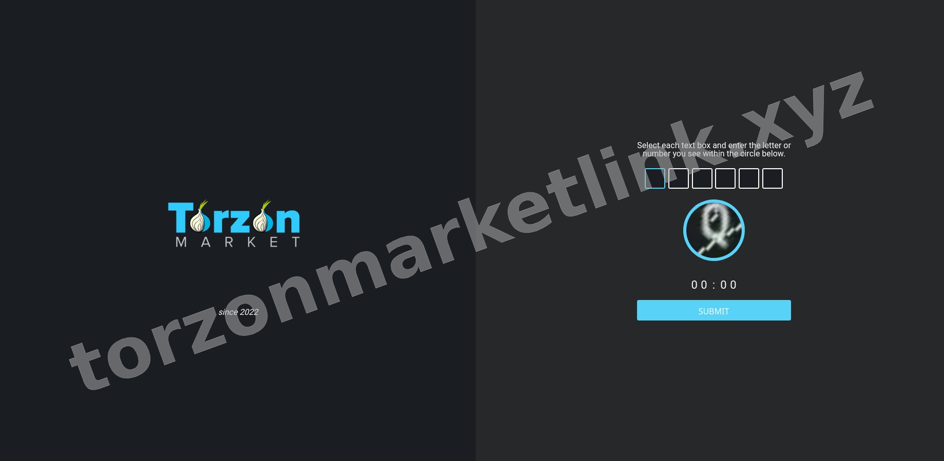 DDoS Protection Screen